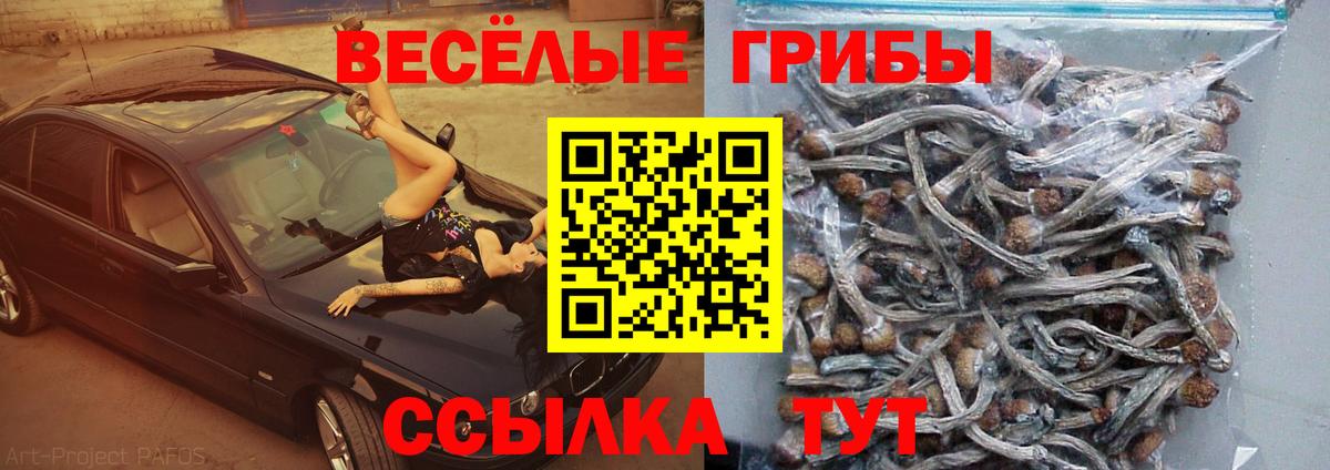 Галлюциногенные грибы Cubensis  Вход с VPN  Усинск 